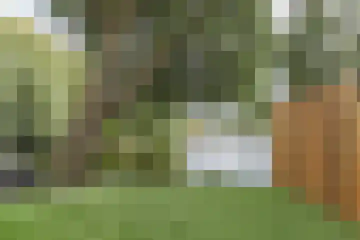 Droge Wijmersweg 5 282 Wervershoof thumbnail 35