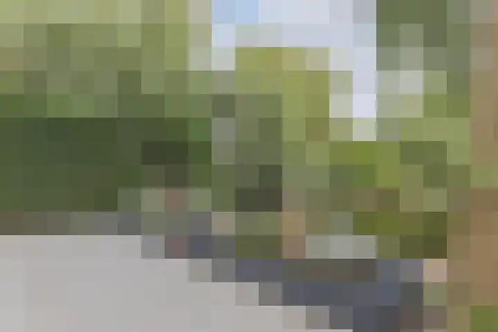 Droge Wijmersweg 5 282 Wervershoof thumbnail 36