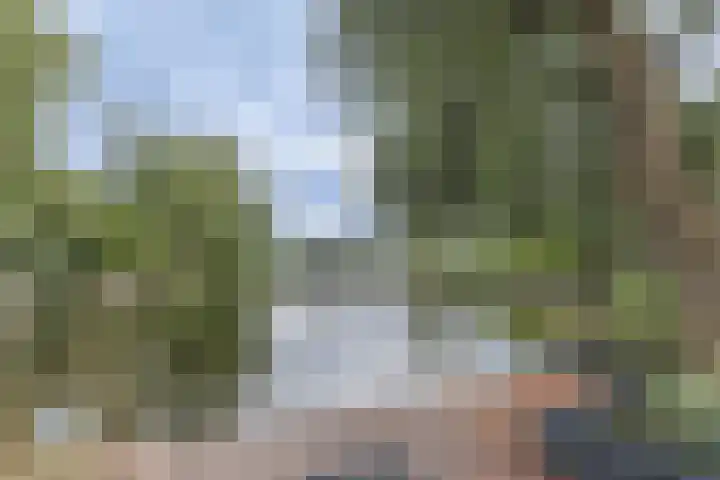 Droge Wijmersweg 5 282 Wervershoof thumbnail 38