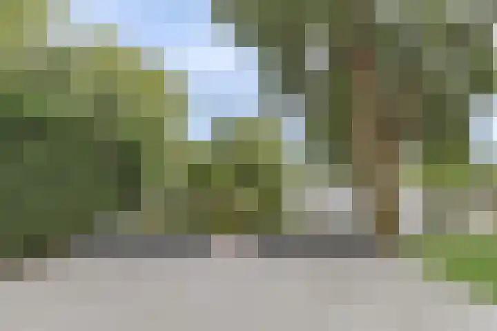 Droge Wijmersweg 5 282 Wervershoof thumbnail 40