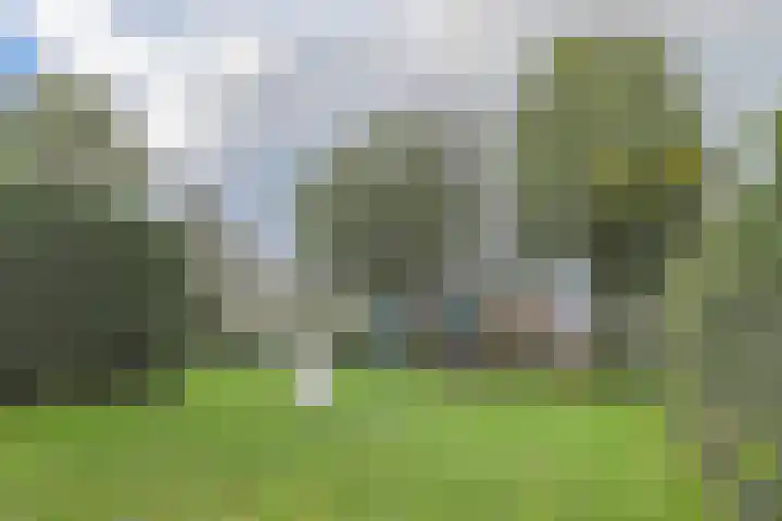Droge Wijmersweg 5 282 Wervershoof thumbnail 41