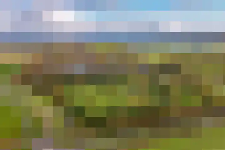 Droge Wijmersweg 5 282 Wervershoof thumbnail 42