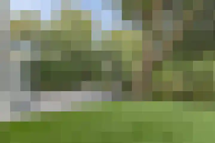 Droge Wijmersweg 5 282 Wervershoof thumbnail 5
