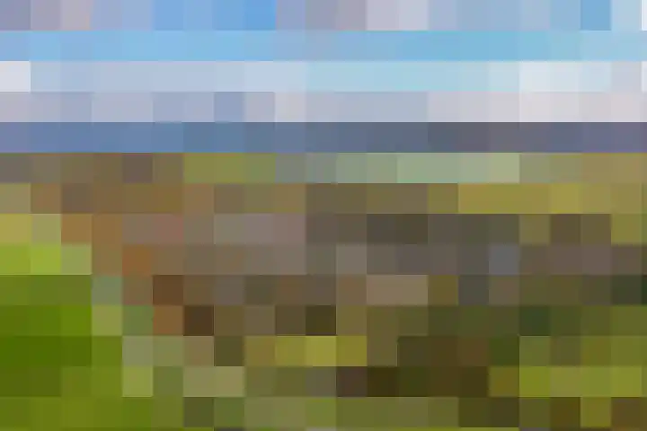 Droge Wijmersweg 5 282 Wervershoof thumbnail 8