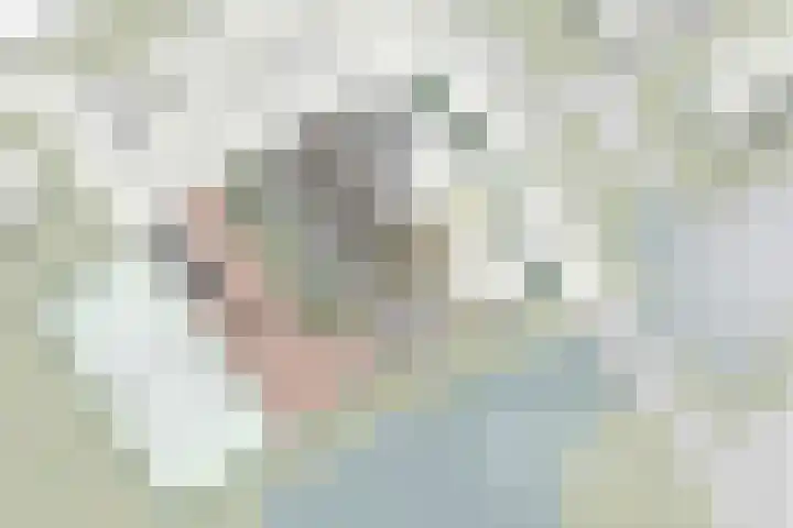 Droge Wijmersweg 5 282 Wervershoof thumbnail 9