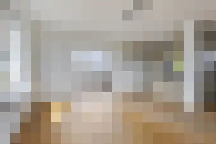 Drogedijk 79 Fijnaart thumbnail 11
