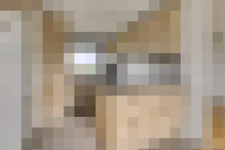 Drogedijk 79 Fijnaart thumbnail 15