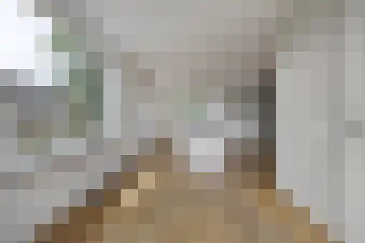 Drogedijk 79 Fijnaart thumbnail 16