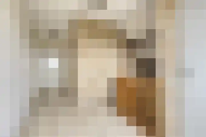 Drogedijk 79 Fijnaart thumbnail 18