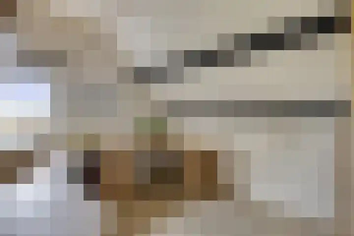 Drogedijk 79 Fijnaart thumbnail 24