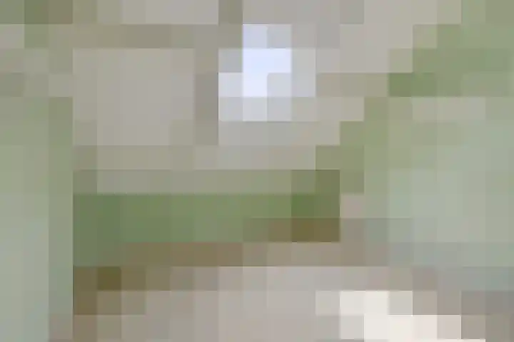 Drogedijk 79 Fijnaart thumbnail 25