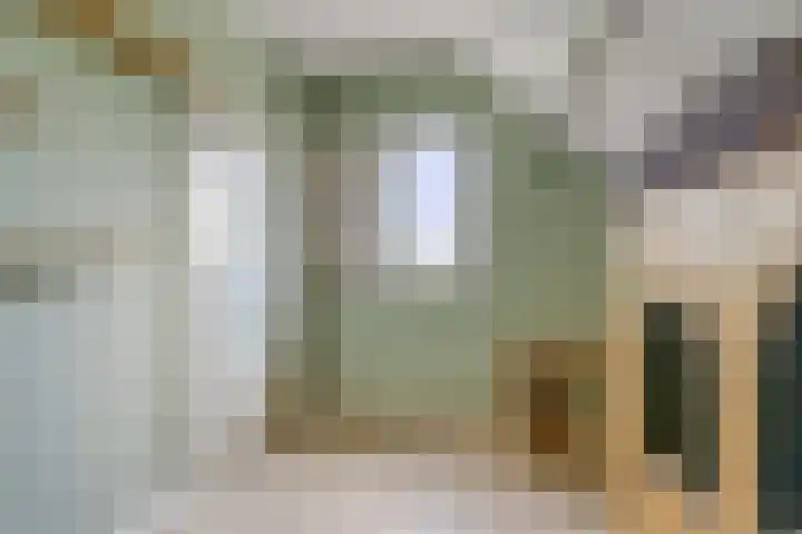 Drogedijk 79 Fijnaart thumbnail 27