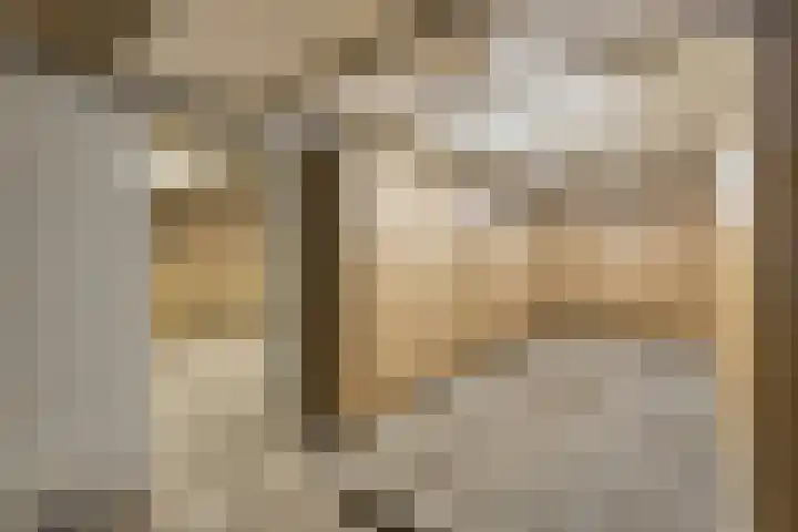 Drogedijk 79 Fijnaart thumbnail 29