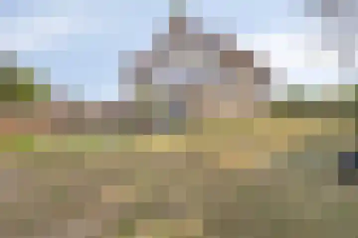 Drogedijk 79 Fijnaart thumbnail 32