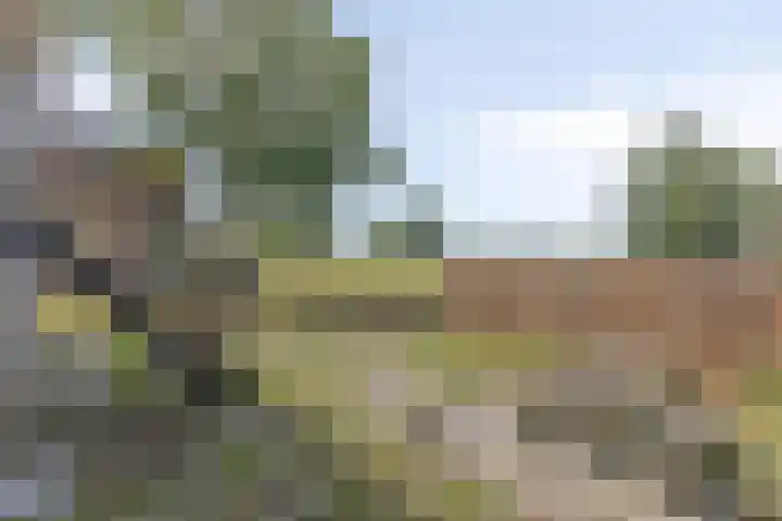 Drogedijk 79 Fijnaart thumbnail 33