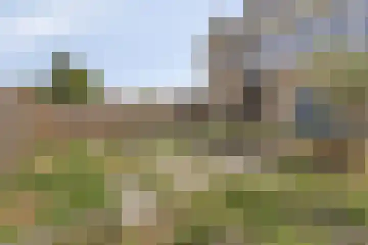 Drogedijk 79 Fijnaart thumbnail 34
