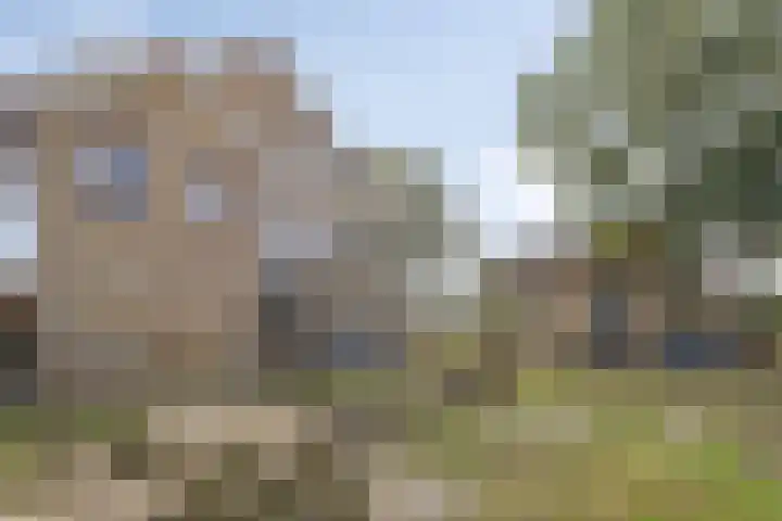Drogedijk 79 Fijnaart thumbnail 35