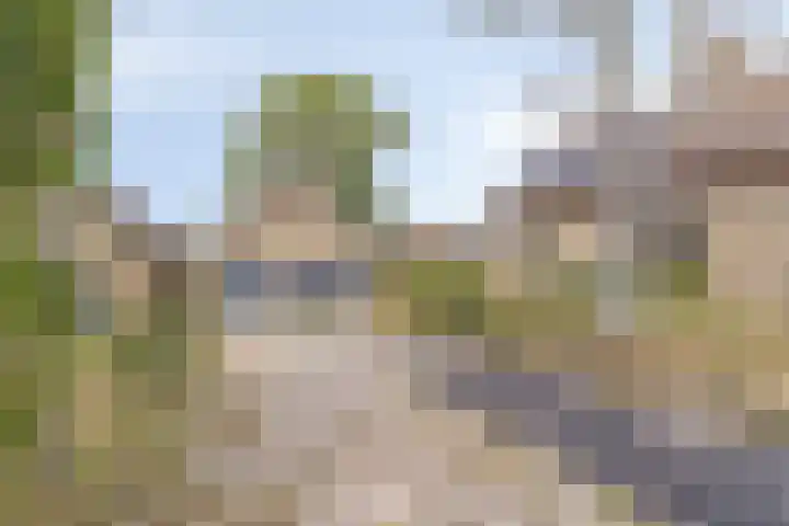 Drogedijk 79 Fijnaart thumbnail 36