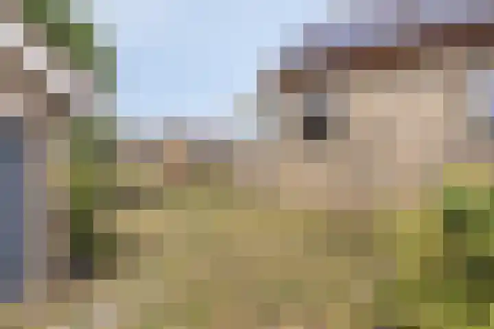 Drogedijk 79 Fijnaart thumbnail 37