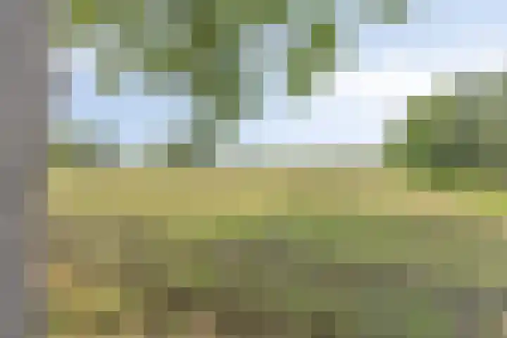 Drogedijk 79 Fijnaart thumbnail 38