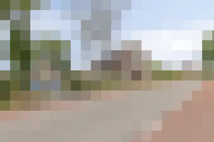 Drogedijk 79 Fijnaart thumbnail 41