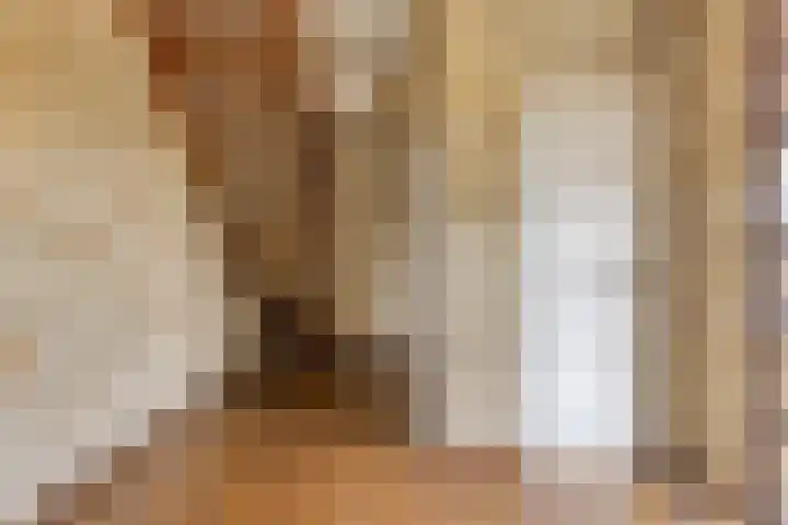 Drogedijk 79 Fijnaart thumbnail 8