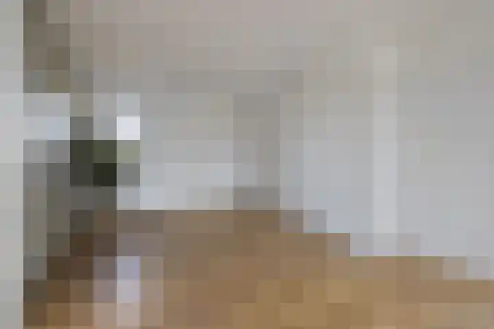 Drogedijk 79 Fijnaart thumbnail 9
