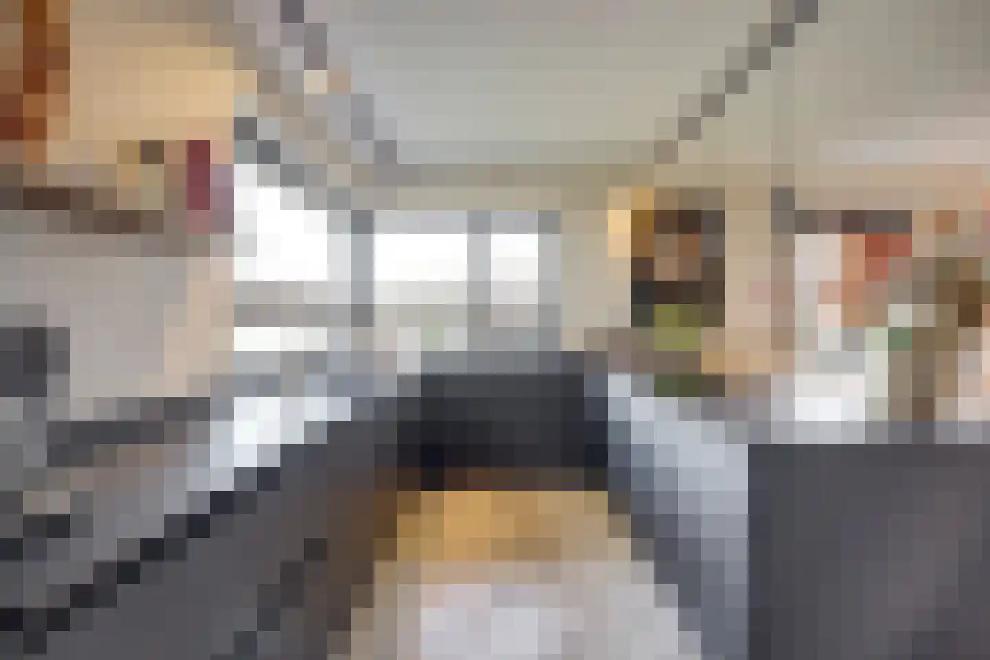 Drogendijk 14 A Spijkenisse thumbnail 14