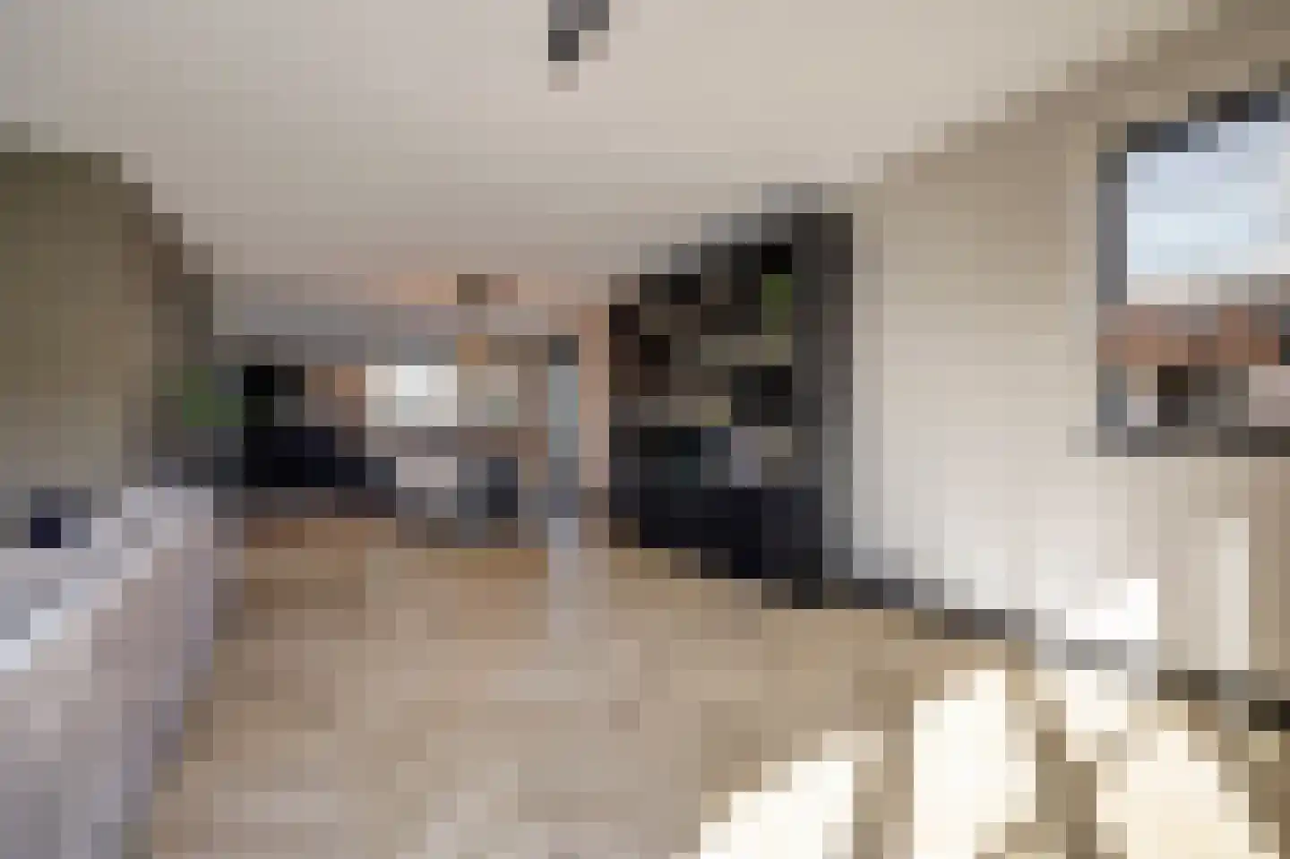 Drogendijk 14 A Spijkenisse thumbnail 21