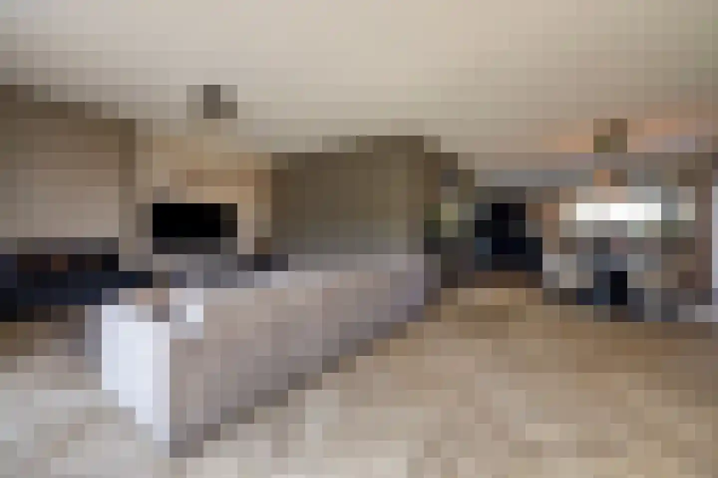 Drogendijk 14 A Spijkenisse thumbnail 22