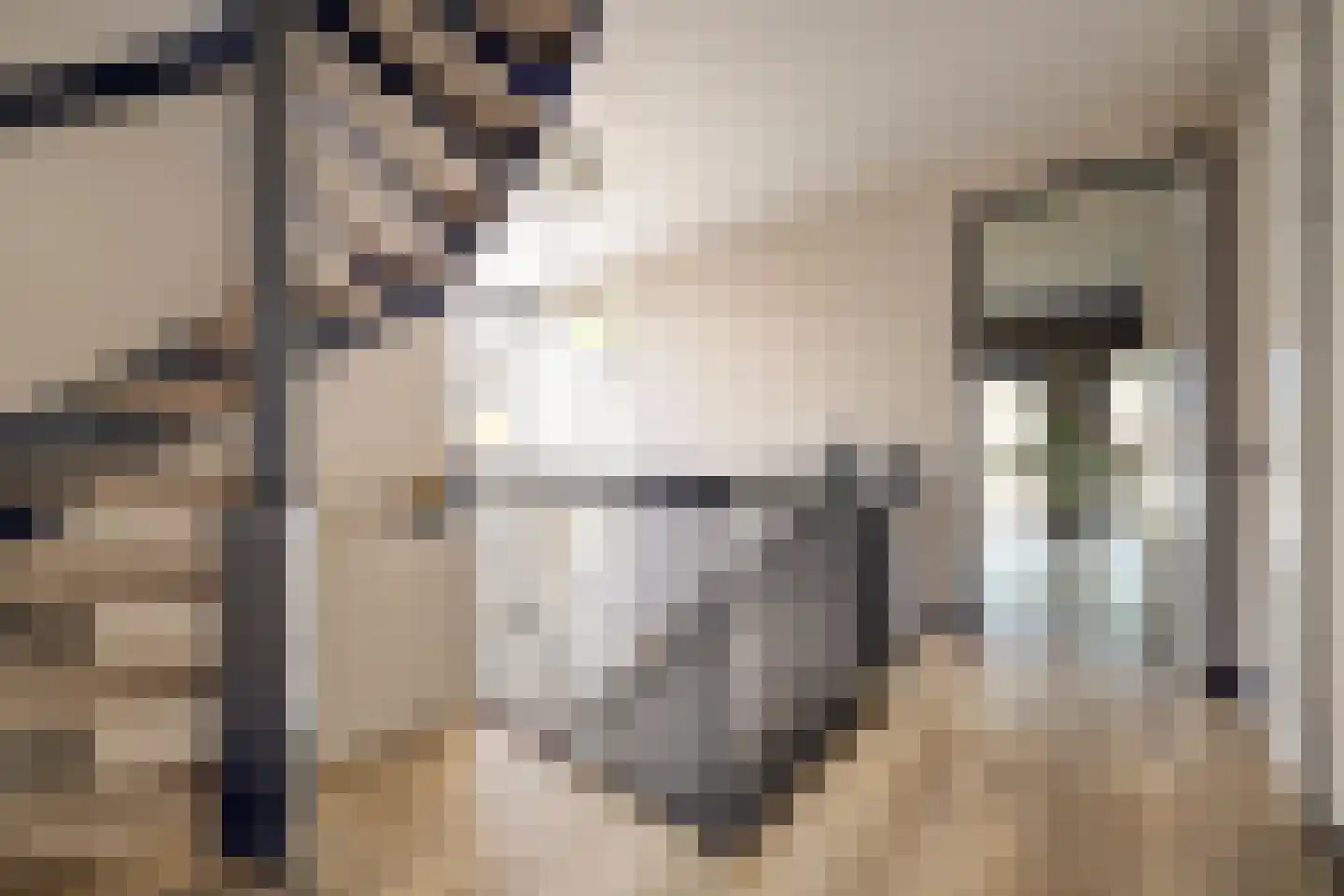 Drogendijk 14 A Spijkenisse thumbnail 33