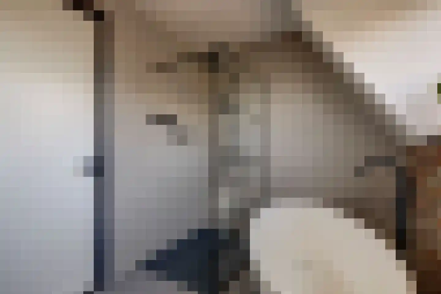 Drogendijk 14 A Spijkenisse thumbnail 36