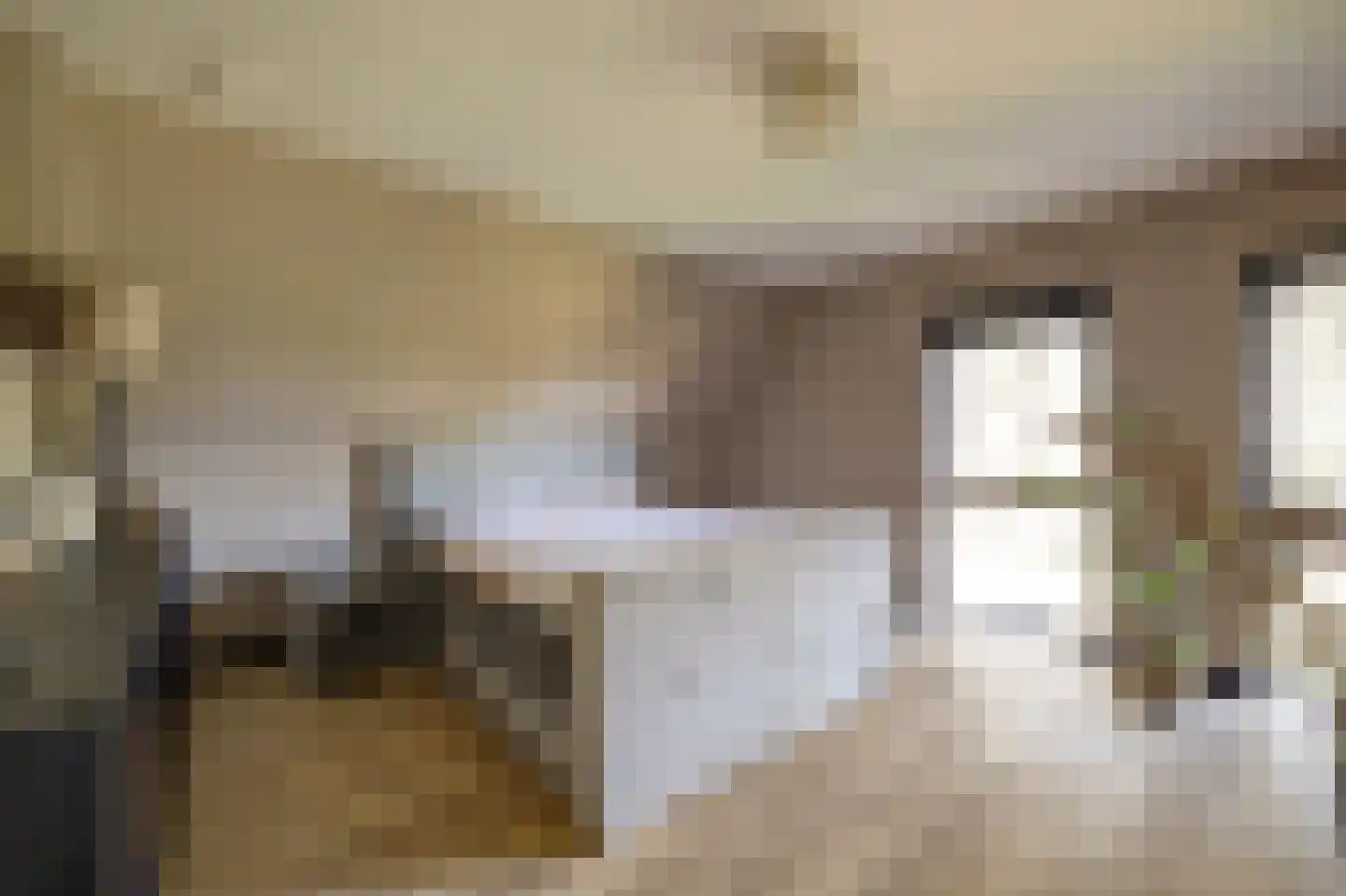 Drogendijk 14 A Spijkenisse thumbnail 39