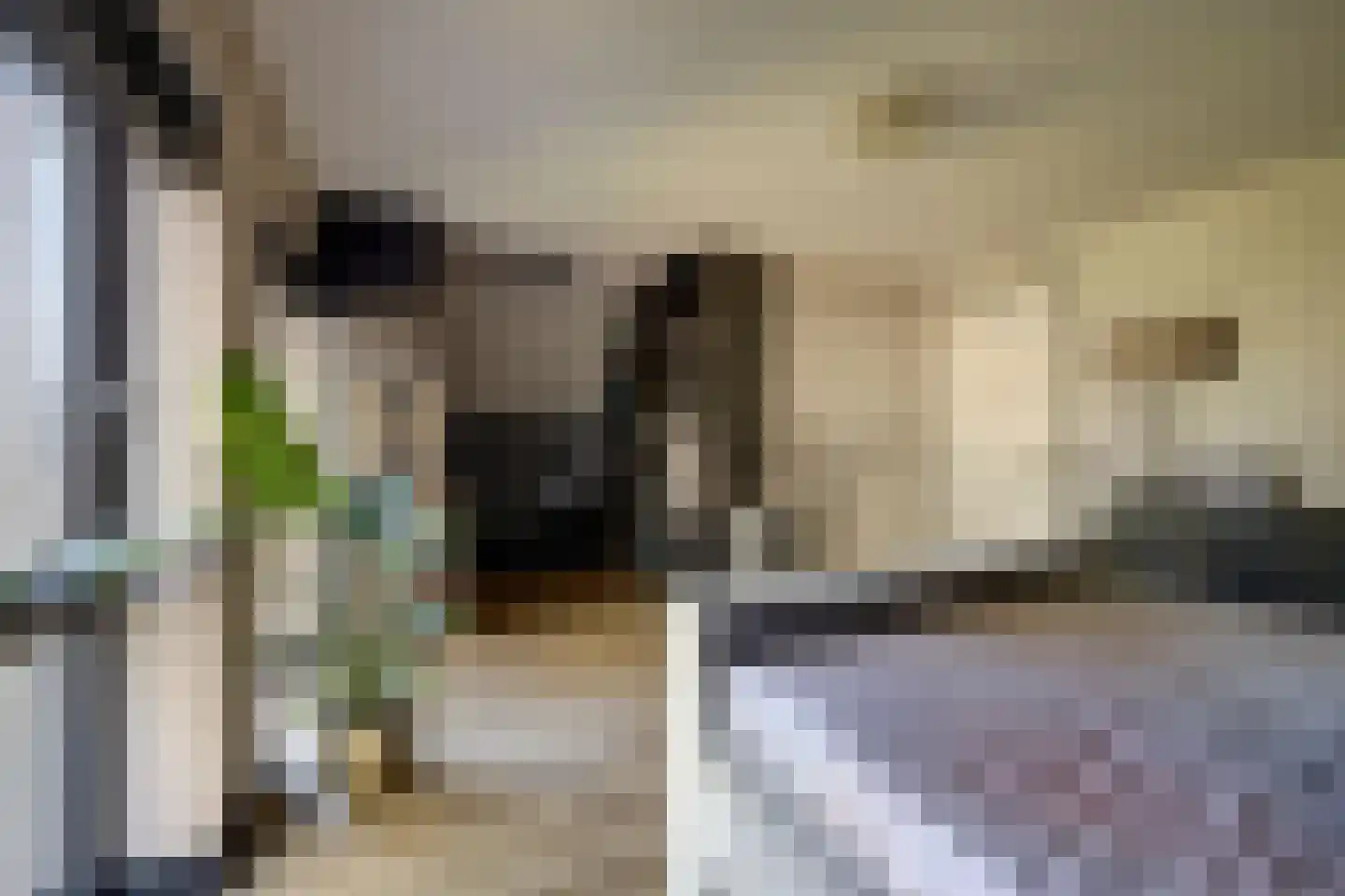 Drogendijk 14 A Spijkenisse thumbnail 40