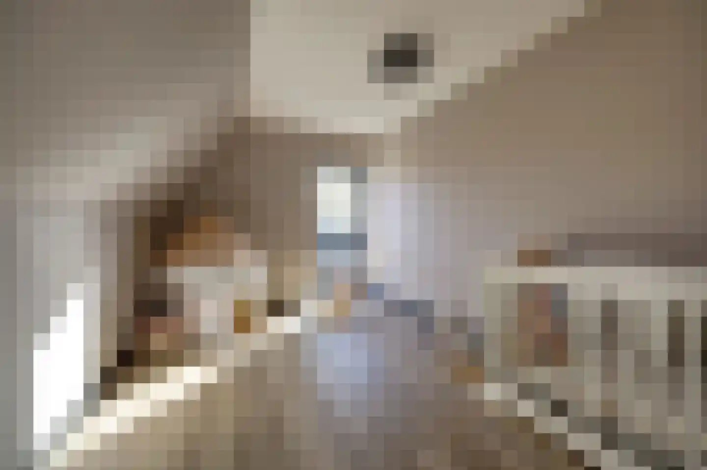 Drogendijk 14 A Spijkenisse thumbnail 45