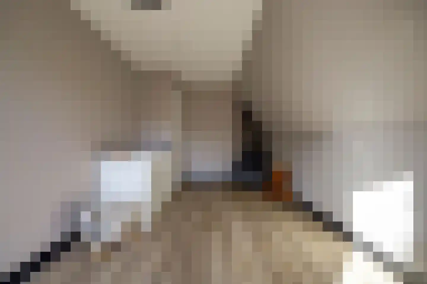 Drogendijk 14 A Spijkenisse thumbnail 46