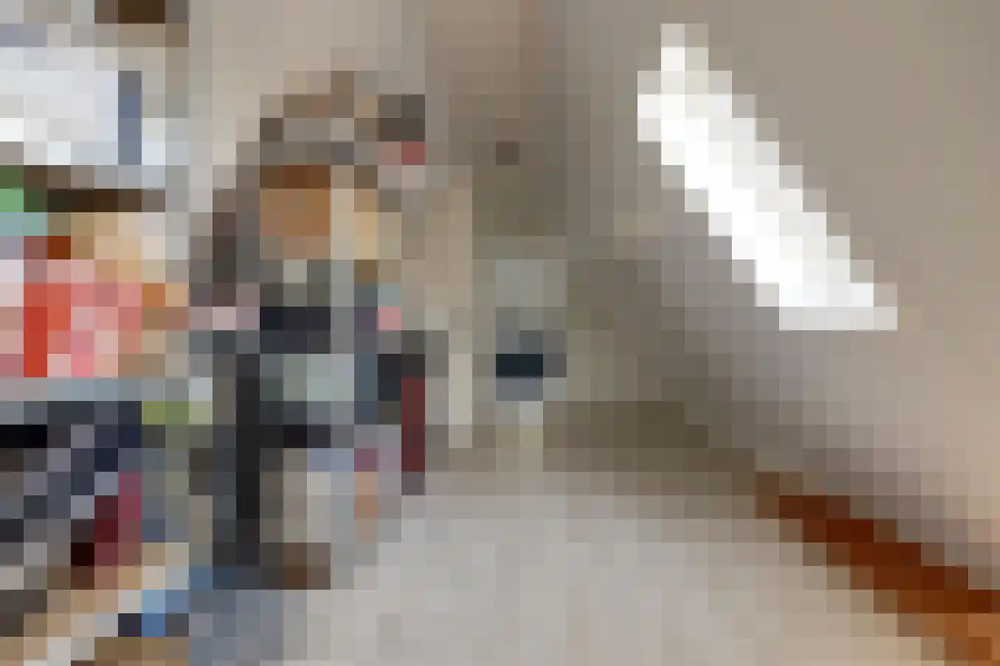 Drogendijk 14 A Spijkenisse thumbnail 49
