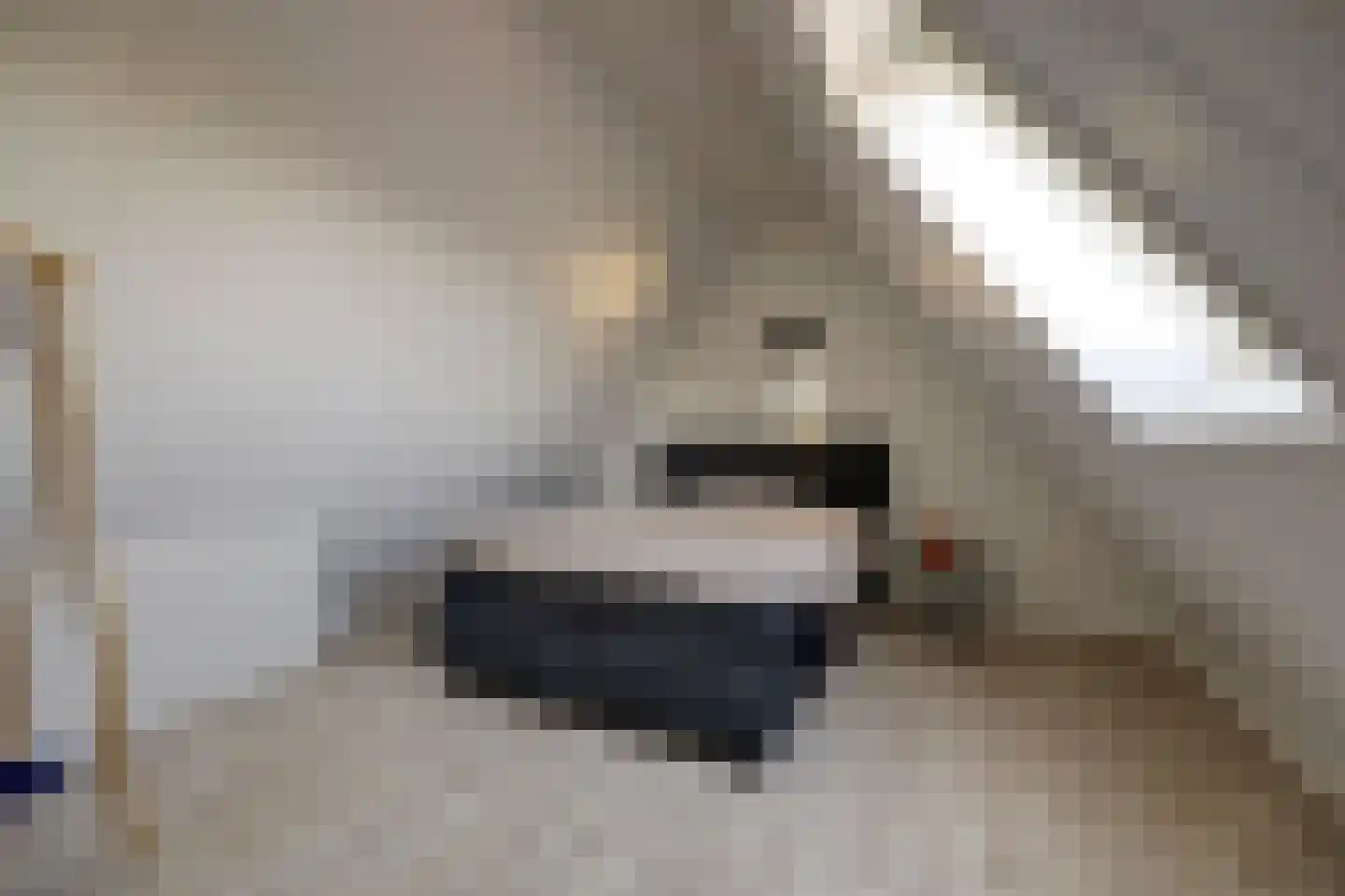 Drogendijk 14 A Spijkenisse thumbnail 51