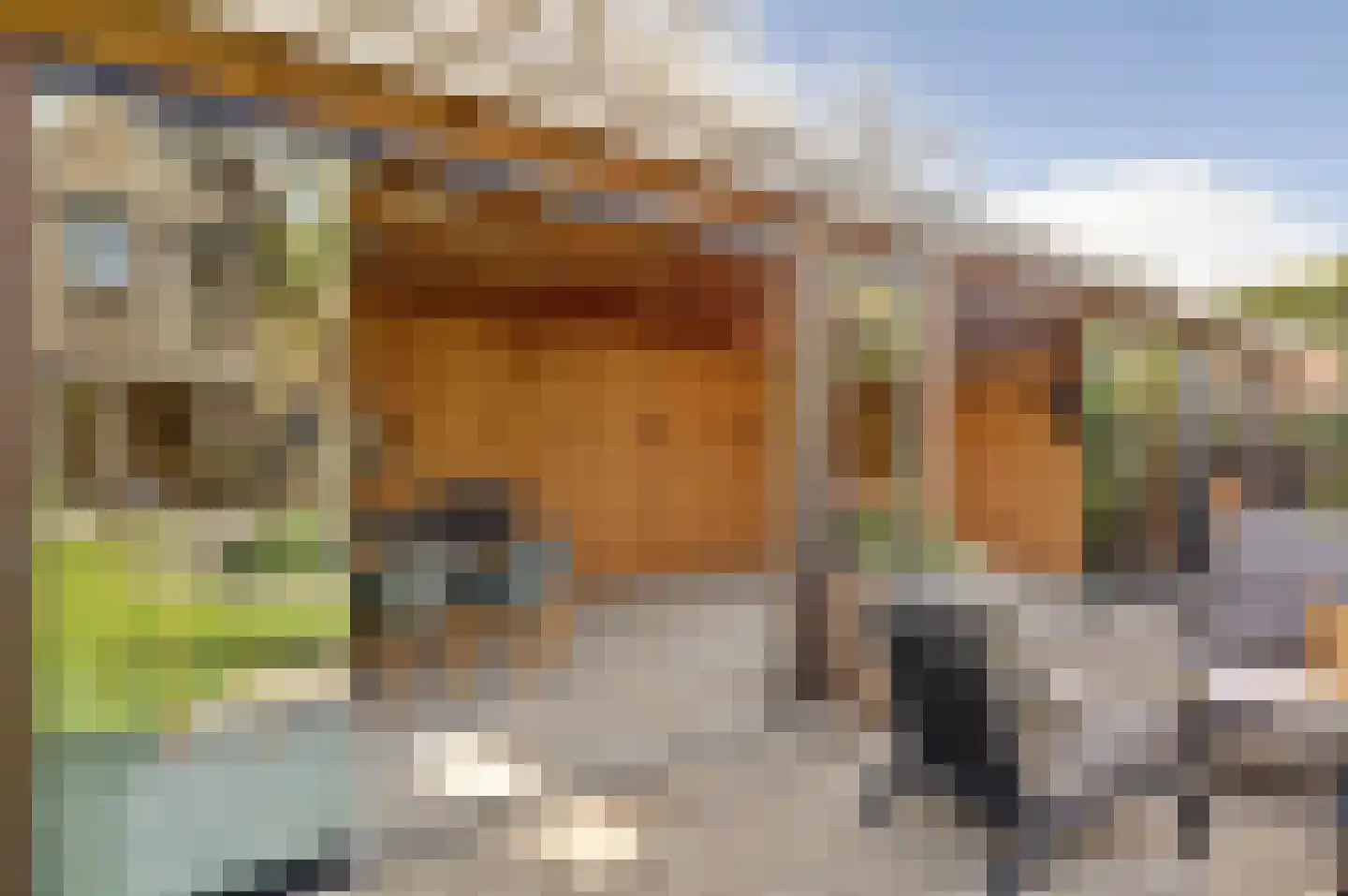 Drogendijk 14 A Spijkenisse thumbnail 60