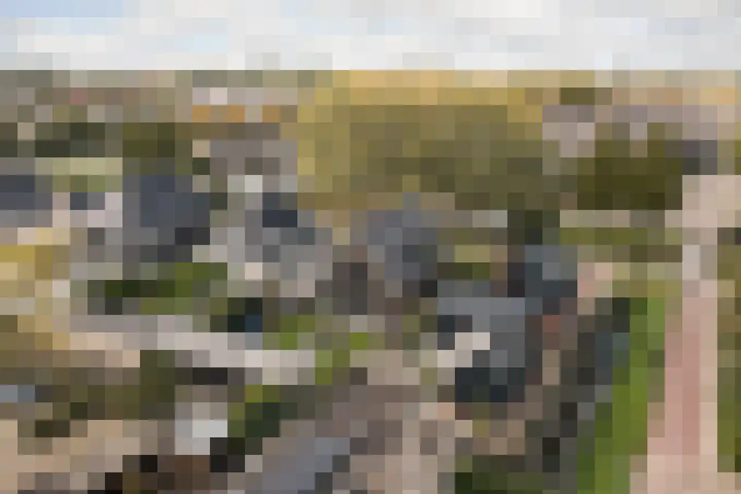 Drogendijk 14 A Spijkenisse thumbnail 68