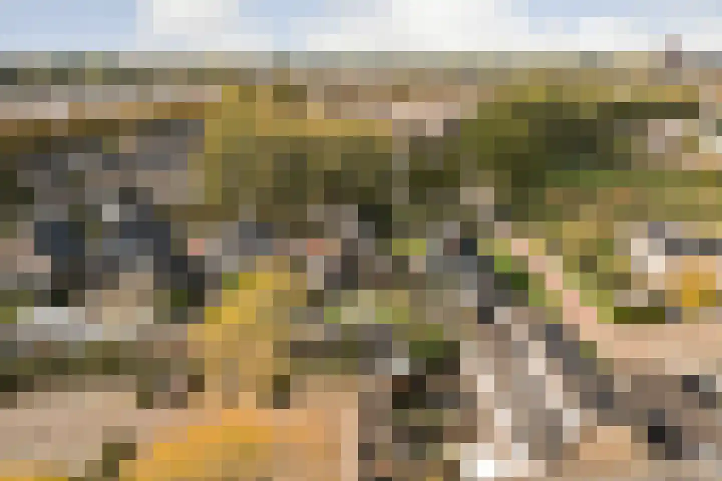 Drogendijk 14 A Spijkenisse thumbnail 69