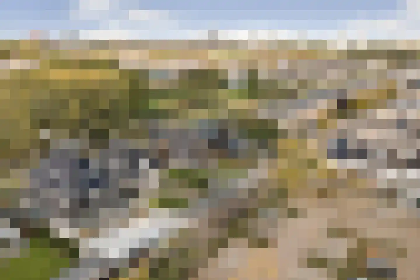 Drogendijk 14 A Spijkenisse thumbnail 70