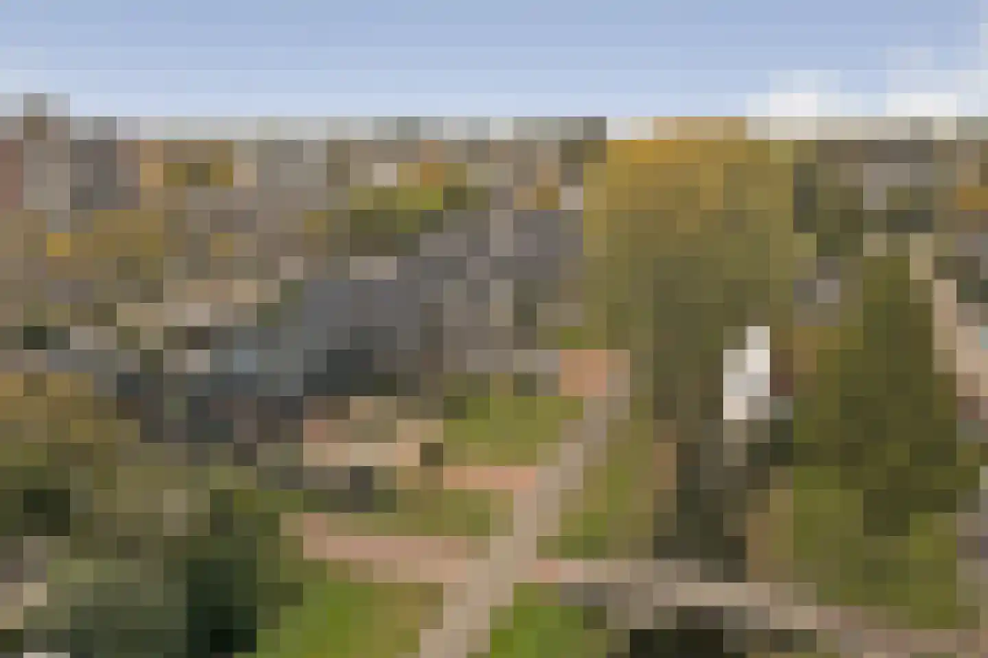 Drogendijk 14 A Spijkenisse thumbnail 71