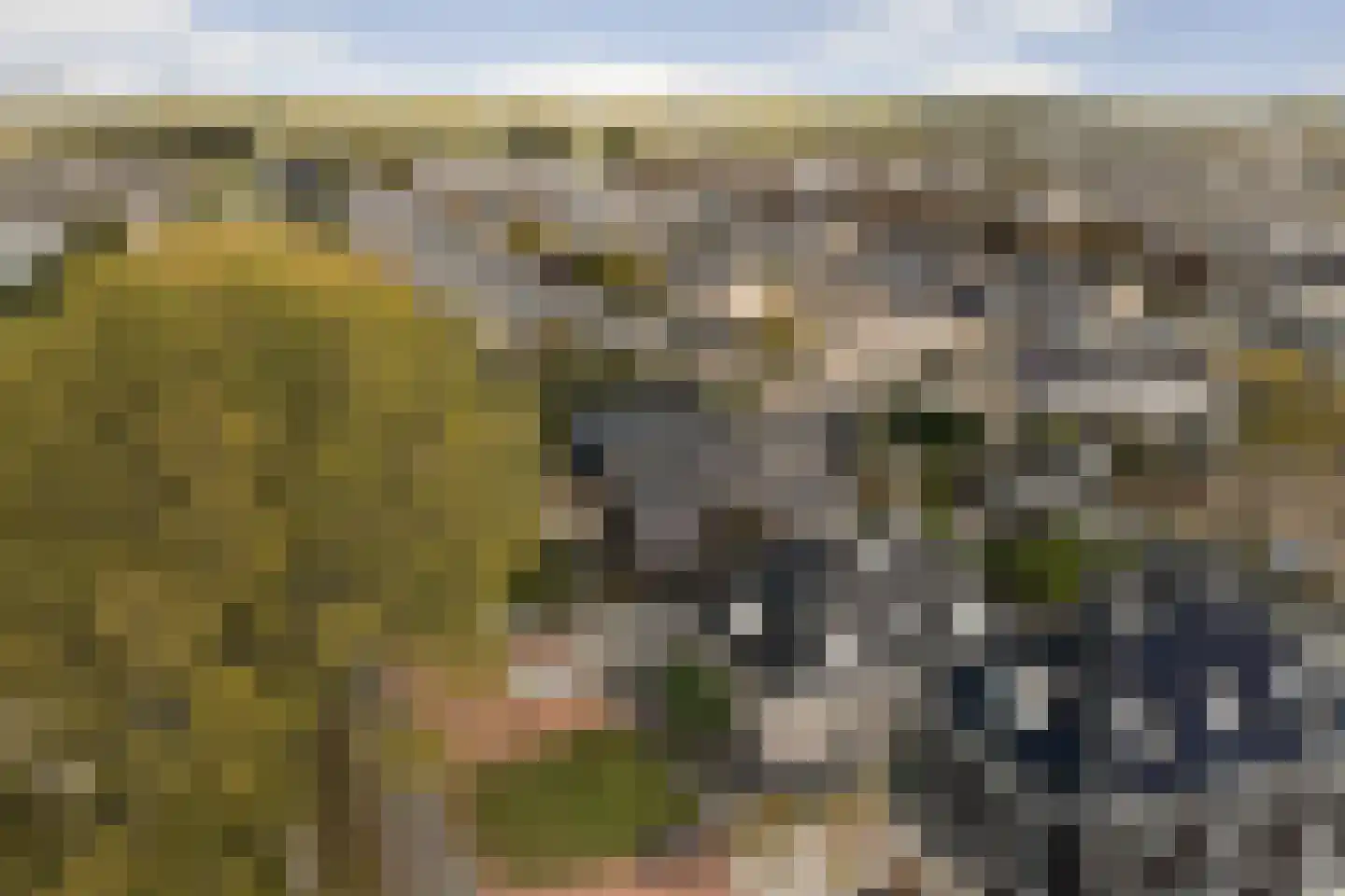 Drogendijk 14 A Spijkenisse thumbnail 74