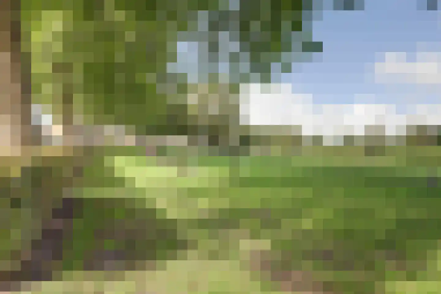 Drogendijk 14 A Spijkenisse thumbnail 76