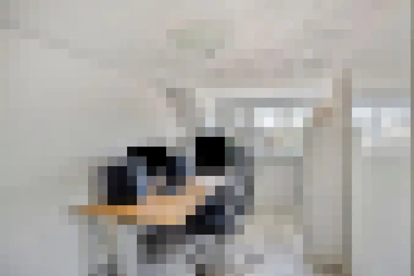 Drogerij 10 Oisterwijk thumbnail 31