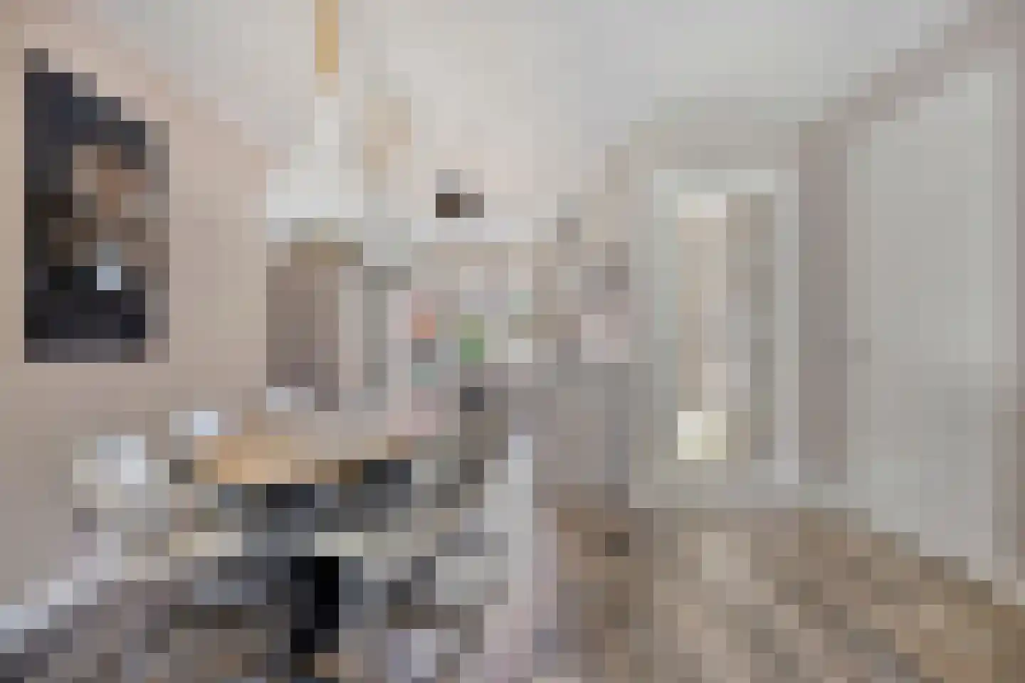 Drogerij 10 Oisterwijk thumbnail 6