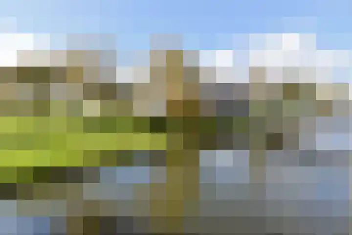 Drogerij 13 Den Hoorn thumbnail 18
