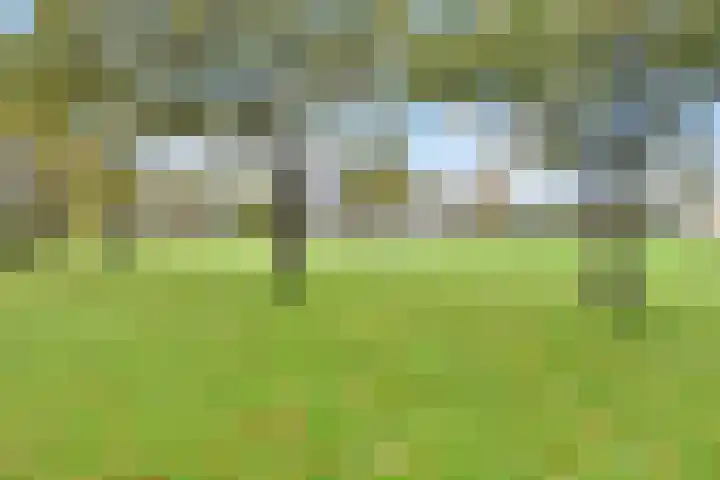 Drogerij 13 Den Hoorn thumbnail 34