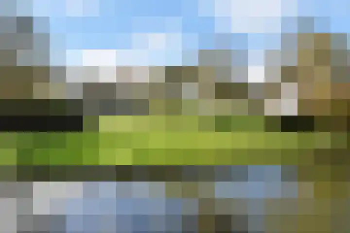 Drogerij 13 Den Hoorn thumbnail 5